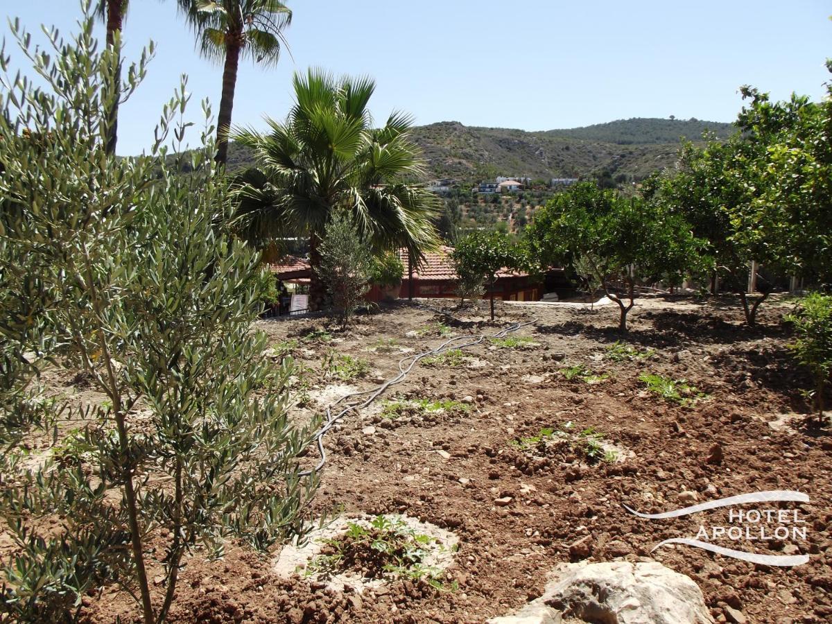 פטארה Apollon Hotel מראה חיצוני תמונה